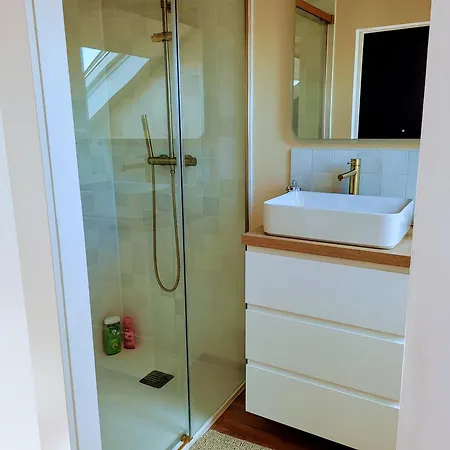 Loft * Remeš